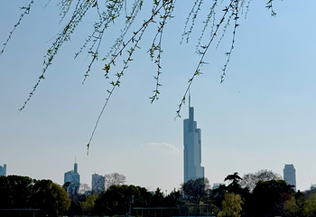 玄武湖景区第 161 张图片