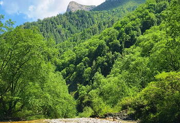 北山国家森林公园第 16 张图片