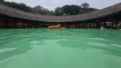 芽庄I-Resort温泉旅游区第 50 张图片