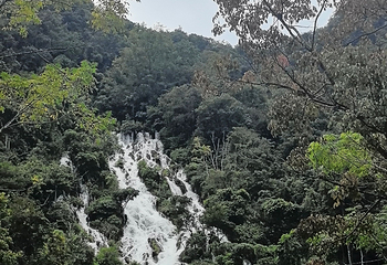 荔波小七孔景区第 300 张图片