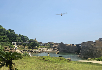 野柳地质公园第 61 张图片
