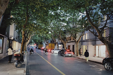巨鹿路第 43 张图片