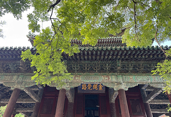 隆兴寺第 50 张图片