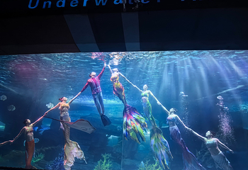 泉城欧乐堡海洋极地世界第 55 张图片