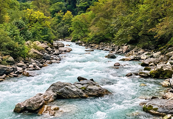 二郎山喇叭河风景区第 141 张图片