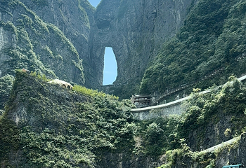 天门山国家森林公园第 366 张图片