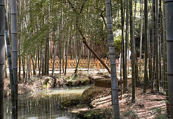 虎丘山风景名胜区第 293 张图片