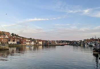 Whitby Beach第 13 张图片