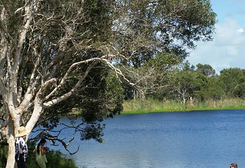 Lake Ainsworth第 9 张图片