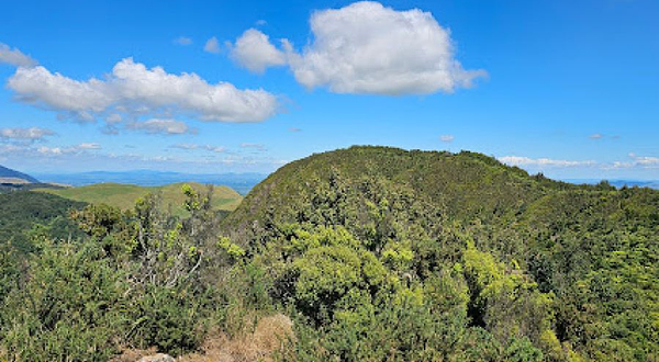 Mt Karangahake