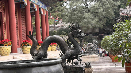 颐和园第 121 张图片