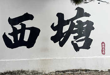西塘古镇第 99 张图片