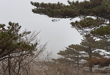 黄山风景区第 494 张图片
