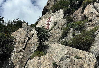 泰山风景区第 164 张图片