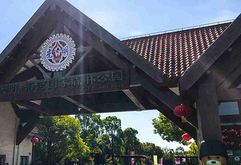 上海海湾国家森林公园第 44 张图片