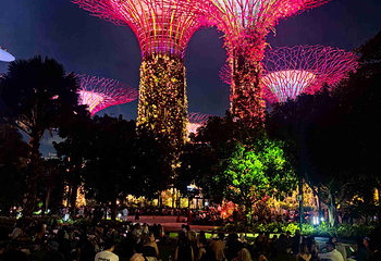 新加坡滨海湾花园第 297 张图片