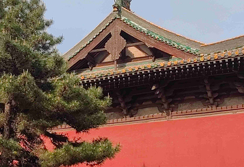 朔州崇福寺景区第 41 张图片