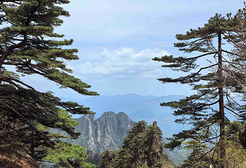 黄山风景区第 294 张图片