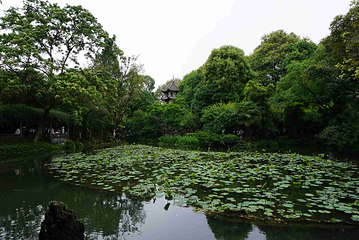 杜甫草堂第 305 张图片