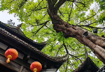 锦里古街第 42 张图片