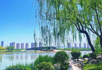 西安世博园第 96 张图片