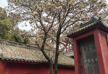 平武报恩寺第 26 张图片