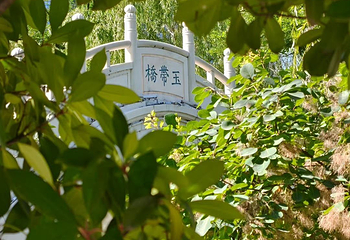 兴庆宫公园第 73 张图片