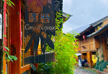 沙溪古镇第 29 张图片