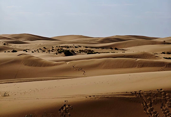乌海湖休闲度假旅游区第 57 张图片
