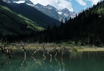 四姑娘山双桥沟景区第 177 张图片