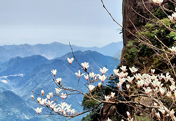 三清山风景区第 183 张图片