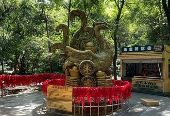 朱雀山国家森林公园第 25 张图片
