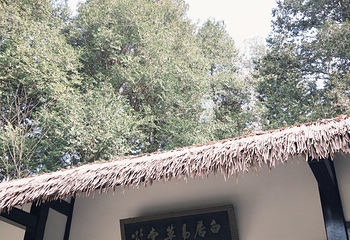 庐山风景名胜区第 202 张图片