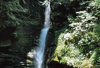 碧峰峡景区第 136 张图片
