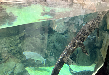 上海海洋水族馆第 148 张图片