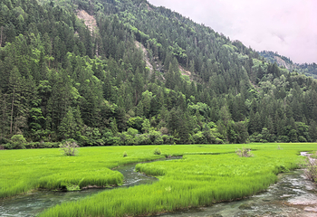 九寨沟风景区第 285 张图片