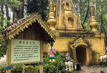 莫里热带雨林景区第 31 张图片
