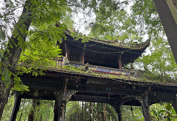 青城山第 147 张图片
