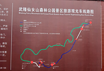 仙女山国家森林公园第 175 张图片