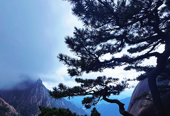 黄山风景区第 406 张图片