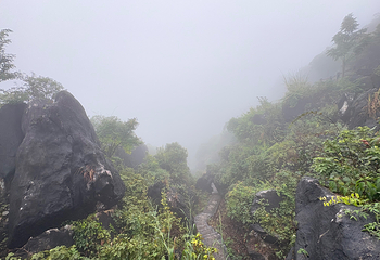 玉石林风景区第 43 张图片