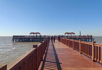 红海滩国家风景廊道第 133 张图片