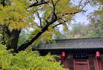 晋祠博物馆第 262 张图片