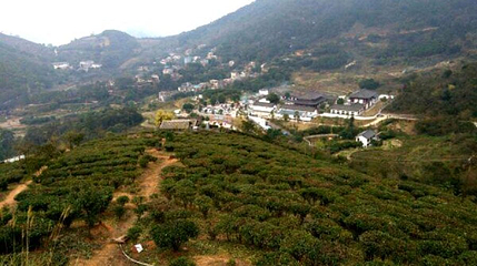 应天寿佛寺第 1 张图片