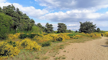 Đurđevački Pijesci