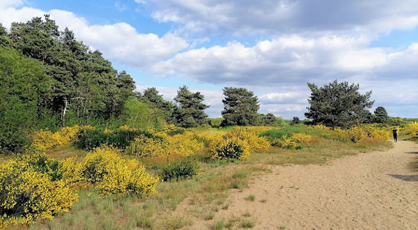 Đurđevački Pijesci