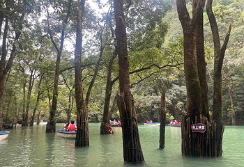 荔波小七孔景区第 214 张图片