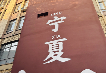看见贺兰第 48 张图片