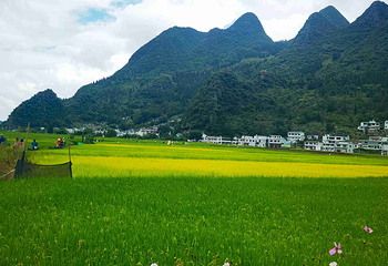 万峰林景区第 38 张图片