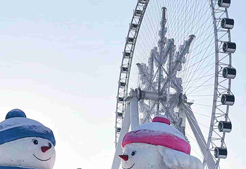 哈尔滨冰雪大世界第 389 张图片